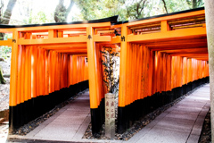 千本鳥居　Ⅲ