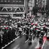 Rainy day -Shibuya Scramble Crossing