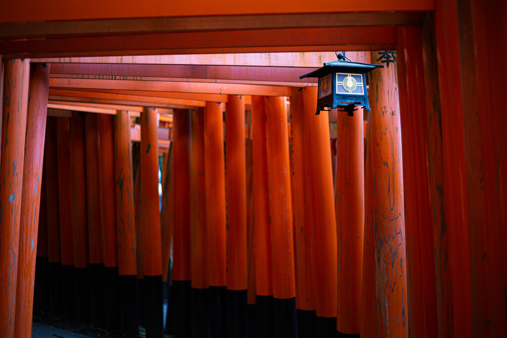 千本鳥居　Ⅵ