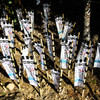 熊野詣　－熊野本宮大社で