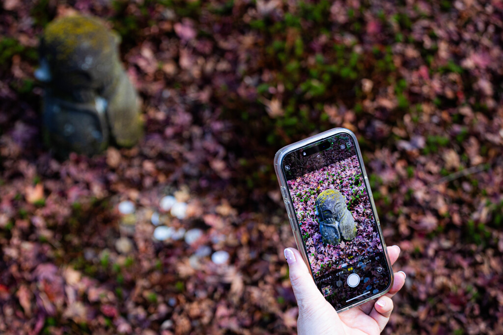 ハイ、チ～ズ ^_^