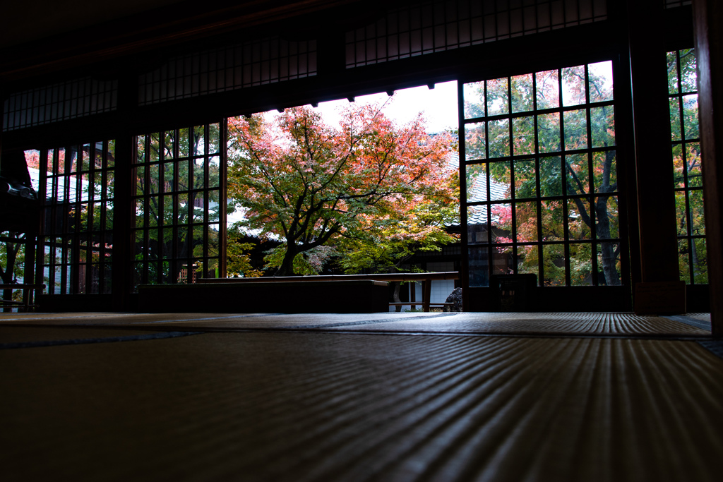 晩秋の建仁寺で　Ⅳ