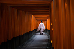 千本鳥居の朝　Ⅰ