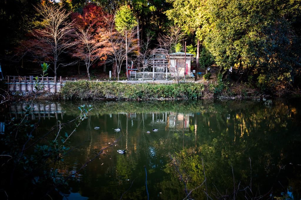 日本で唯一の髪の神社