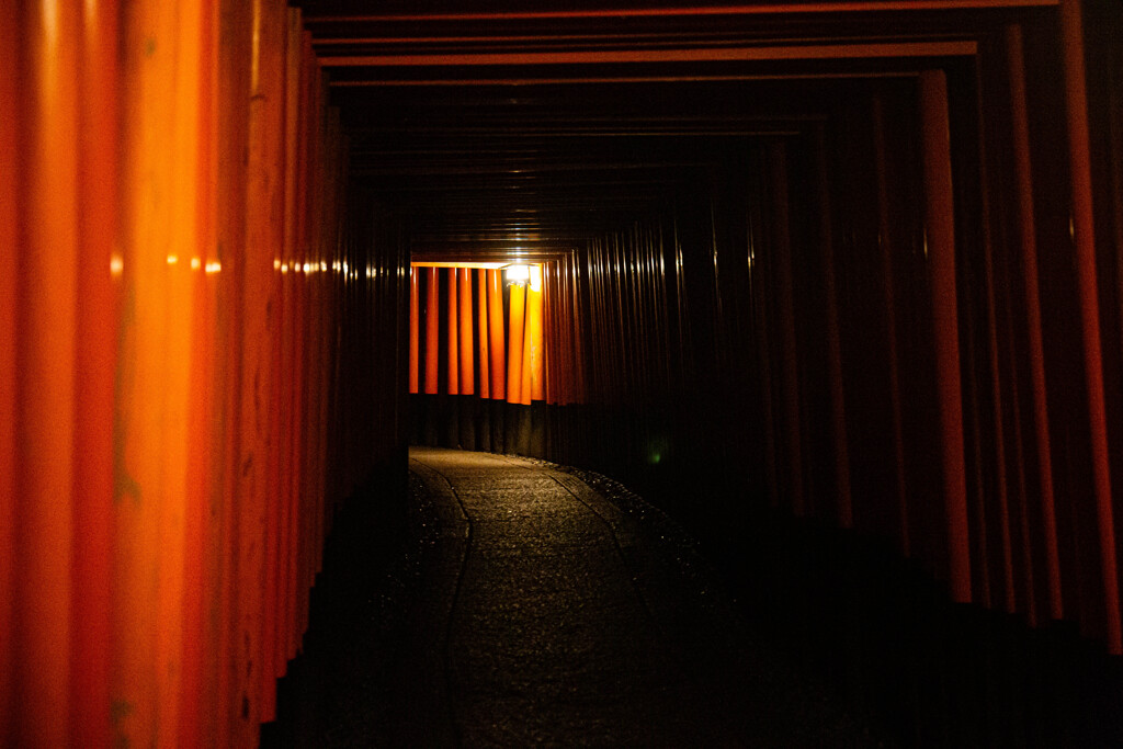 夜の千本鳥居　Ⅴ