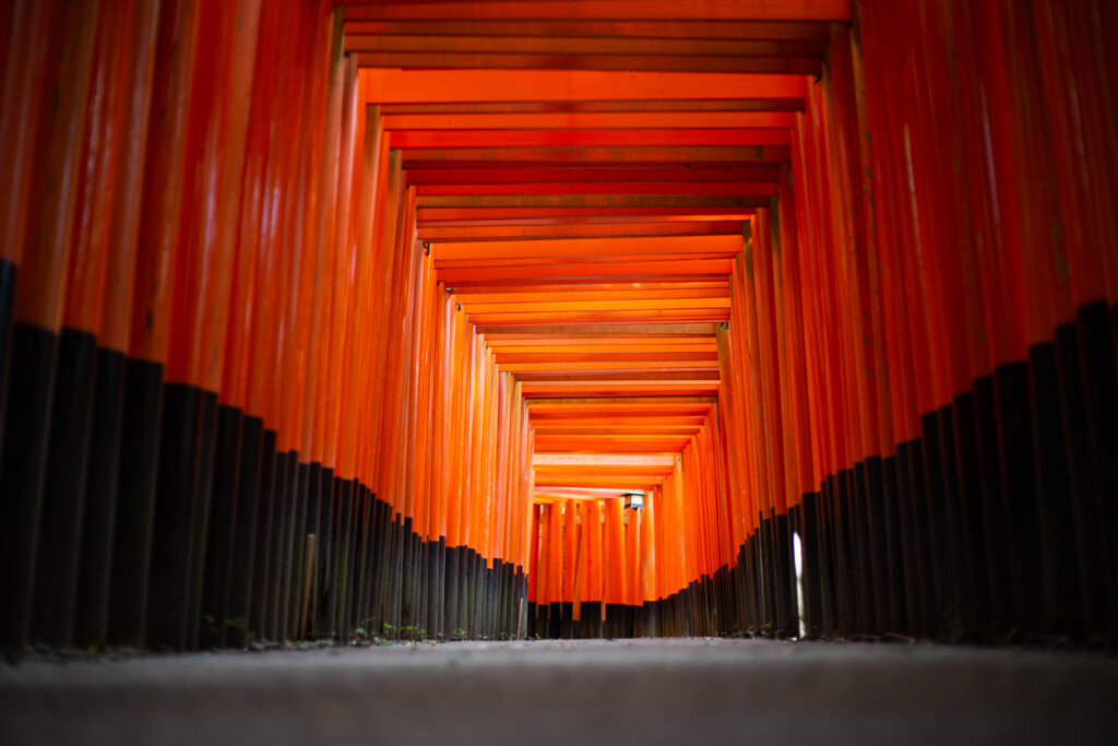 千本鳥居