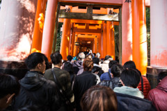 いざ、千本鳥居。