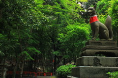 稲荷山へようこそ