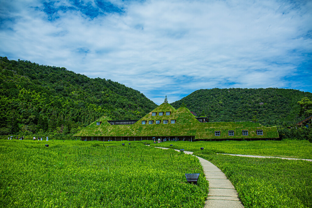 ラ コリーナの夏　Ⅱ