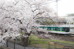 『いつもの駅で』