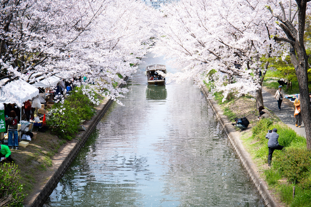 伏見の春景色　Ⅲ