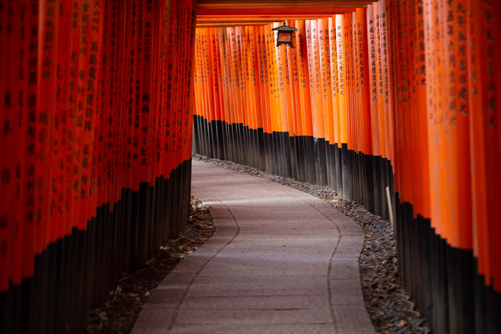 千本鳥居を撮る　Ⅶ