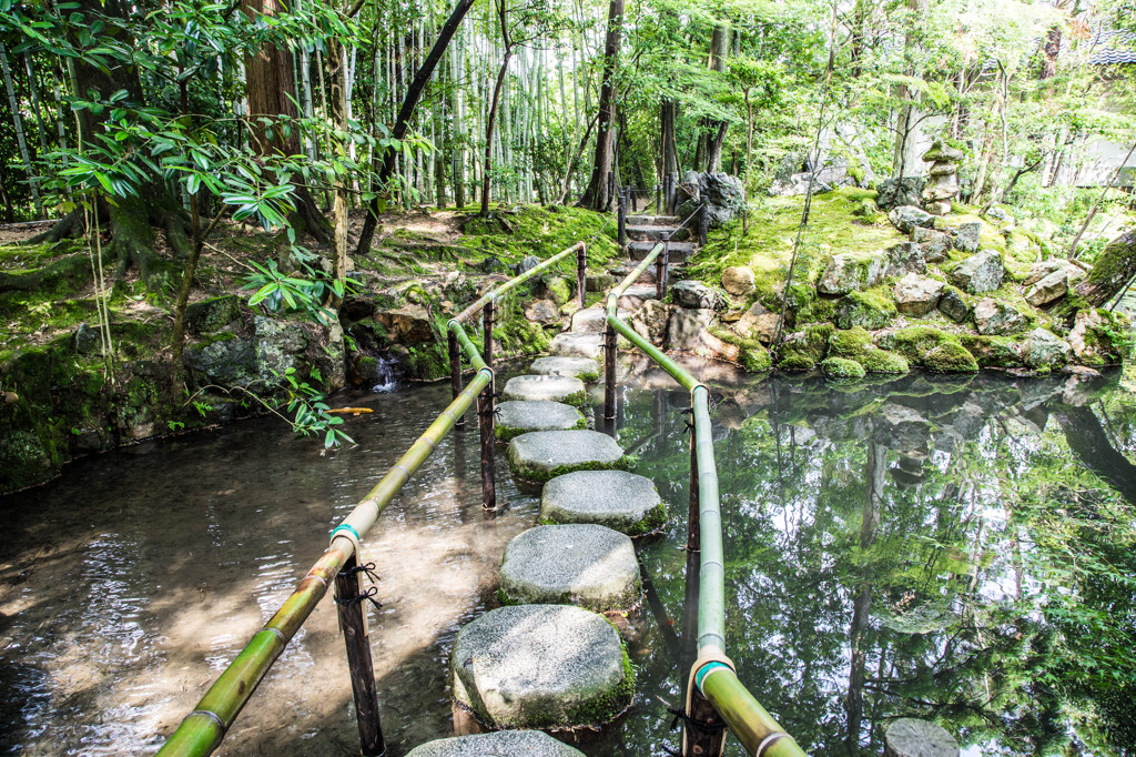 初夏の天授庵　Ⅵ