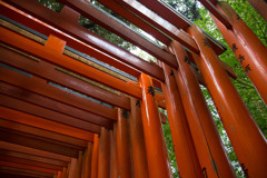 京都　伏見稲荷大社　千本鳥居