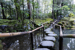 天授庵の庭で　Ⅲ