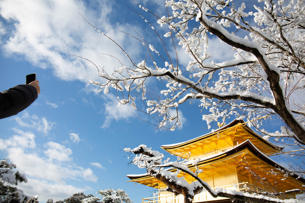 雪の金閣寺を撮る。