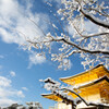 雪の金閣寺を撮る。