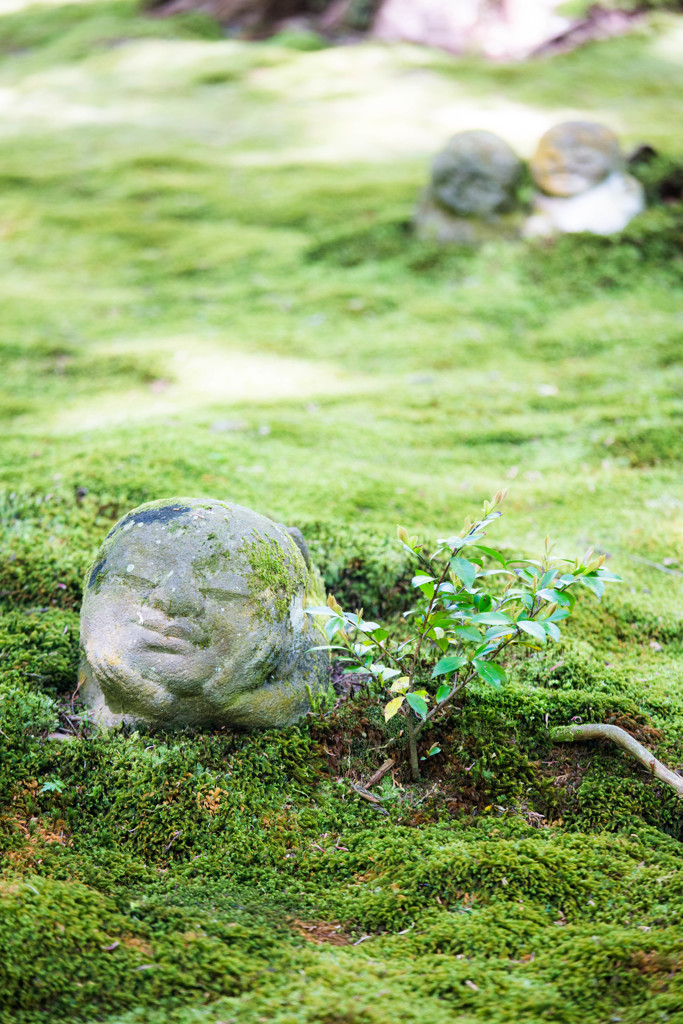 三千院でほっこり　Ⅳ