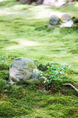 三千院でほっこり　Ⅳ