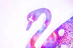 Swan　Ⅱ