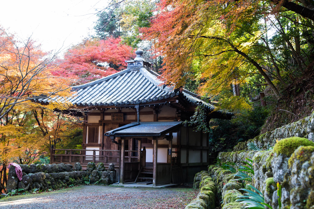 愛宕念仏寺・2014秋　Ⅳ