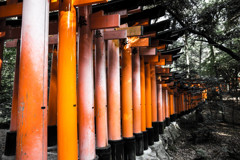 そして鳥居は山に続く。