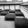 東福寺の井田市松