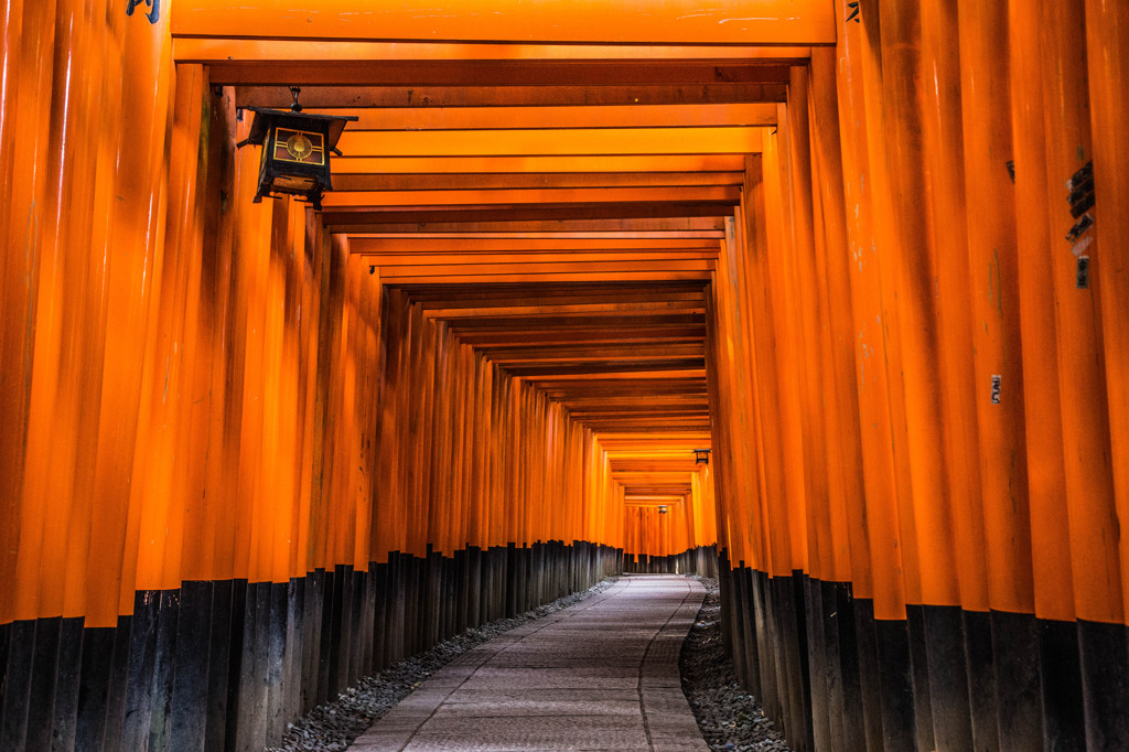 千本鳥居の朝　Ⅵ