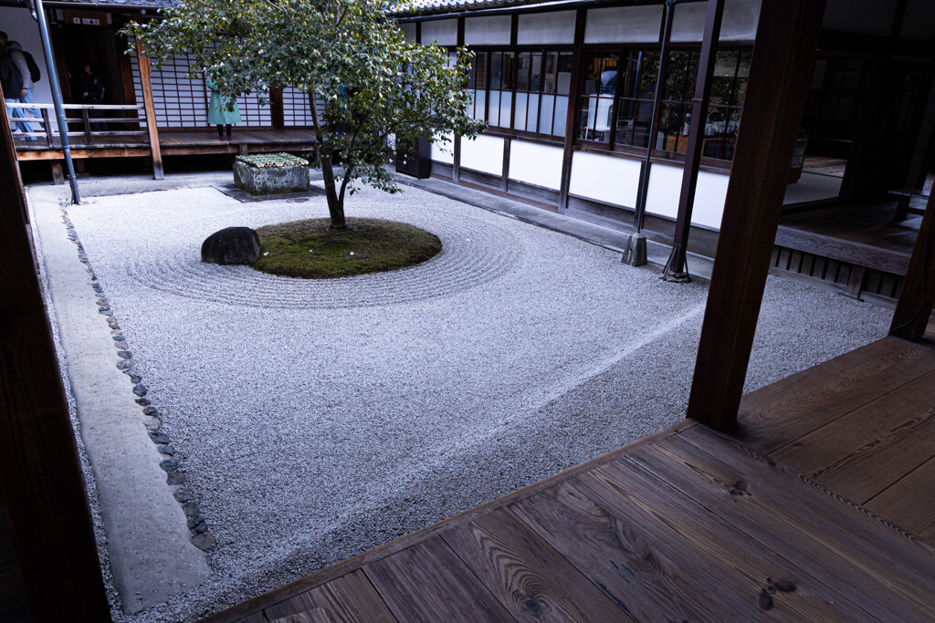 〇△□乃庭を撮る　Ⅱ