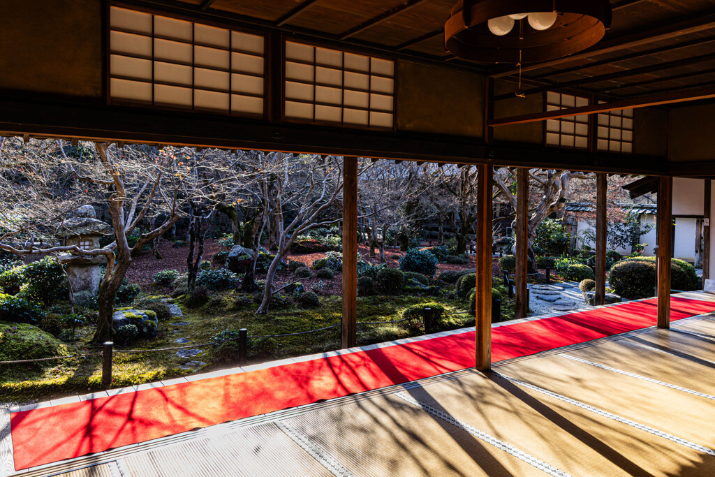 圓光寺、紅葉散る頃　Ⅰ