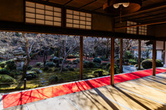 圓光寺、紅葉散る頃　Ⅰ