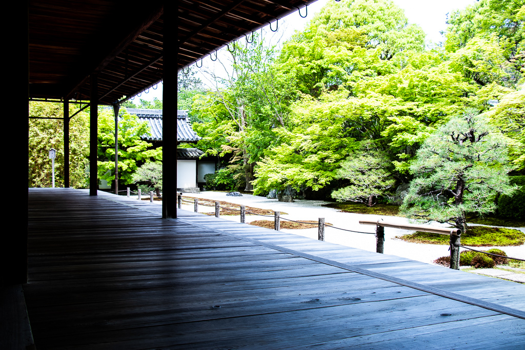天授庵方丈前の庭園を。