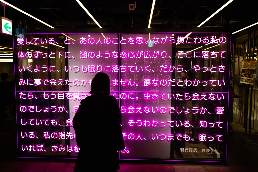 こひぶみ