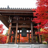 智積院の紅葉　Ⅴ