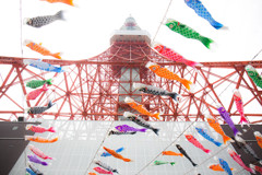 東京タワーを泳ぐ。