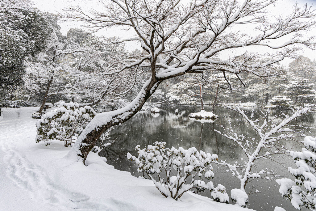 金閣寺で見た雪景色