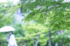 初夏の智積院にて　Ⅱ