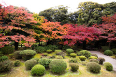 旧古河庭園の紅葉　Ⅱ