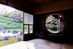 晩秋の光明院　Ⅱ