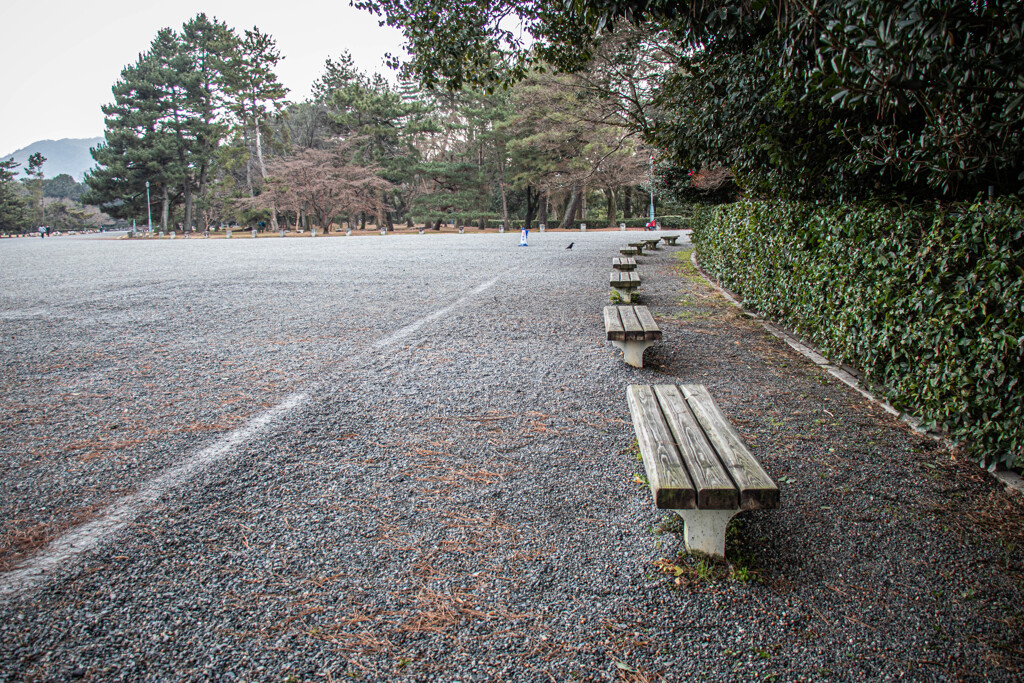 京都御苑の冬のある日