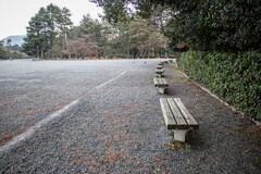 京都御苑の冬のある日