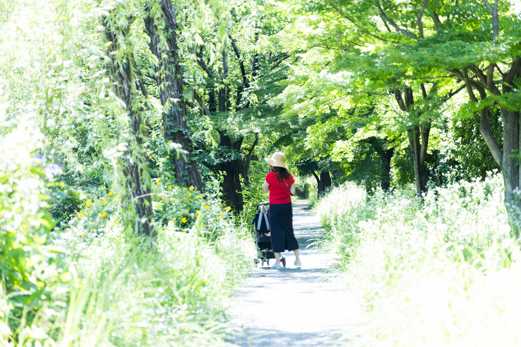 初夏の散歩道