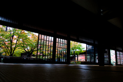 晩秋の建仁寺で　Ⅰ