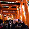 『いざ、千本鳥居へ』