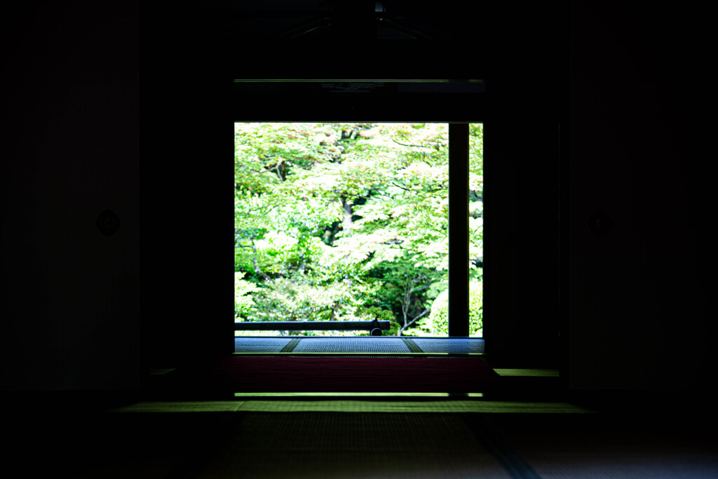 新緑の金剛輪寺で　Ⅱ