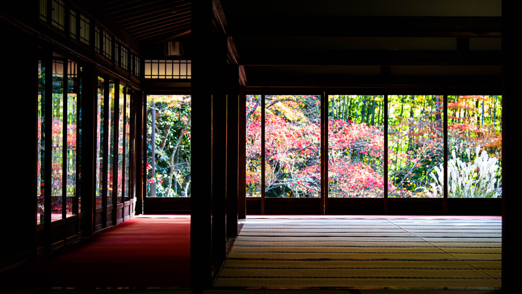 晩秋の天授庵書院