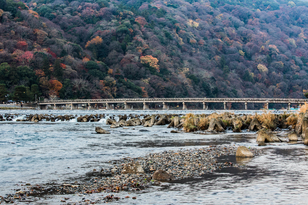 晩秋の嵐山　Ⅲ