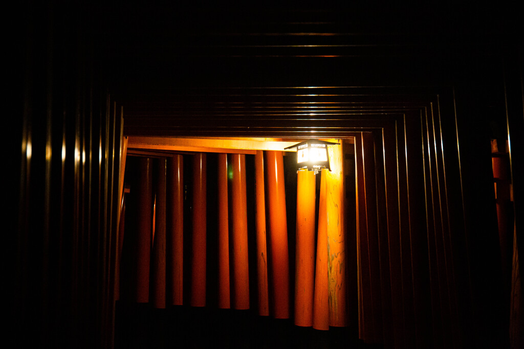 夜の千本鳥居　Ⅸ