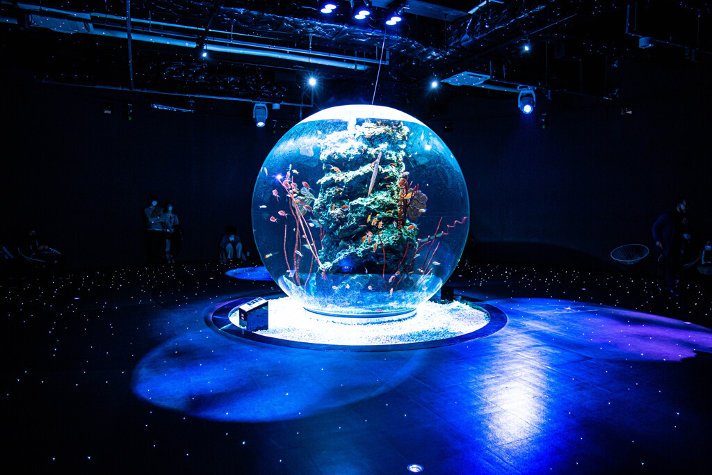 アクアリウムとアートが融合する水族館　Ⅰ
