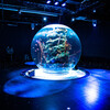 アクアリウムとアートが融合する水族館　Ⅰ
